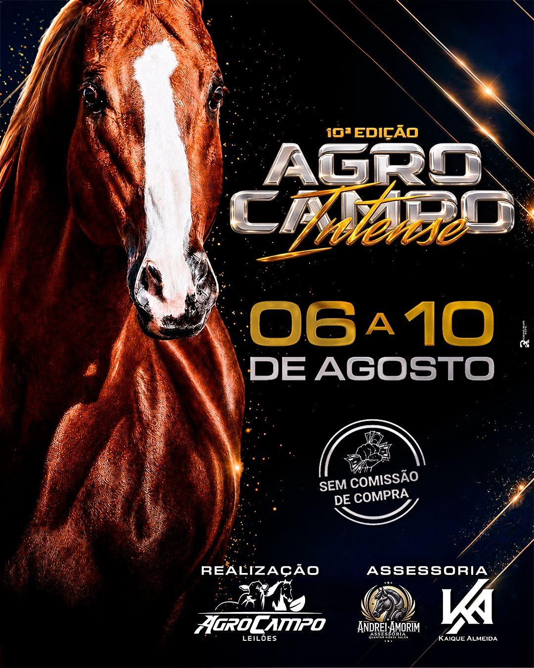 10° AgroCampo Intense