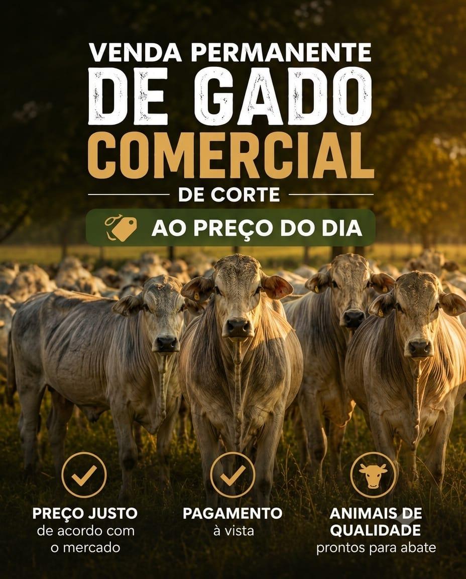 Venda Permanente (Gado Comercial)